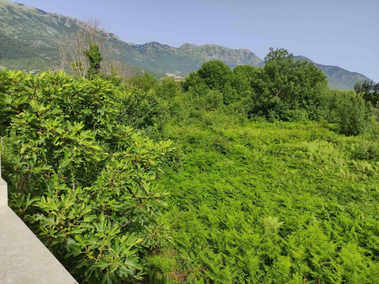 Green Valley Cattaro Esterno foto
