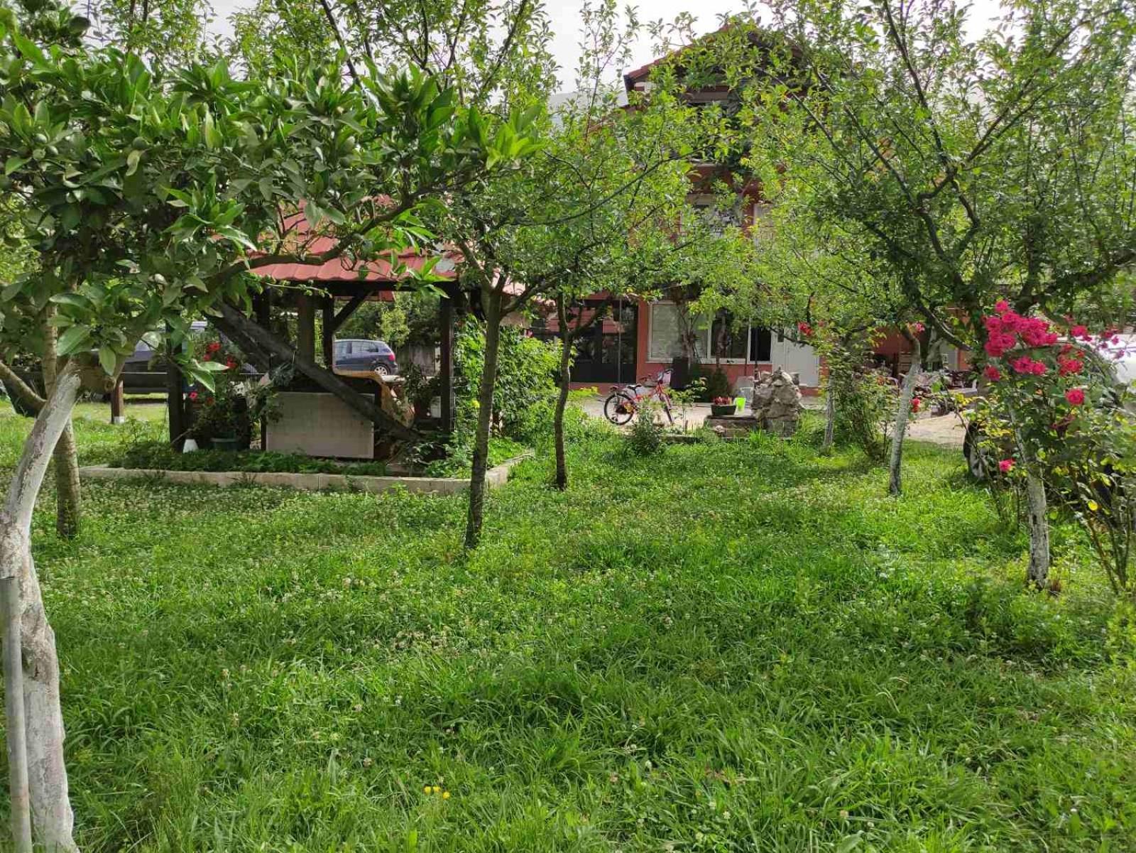 Green Valley Cattaro Esterno foto